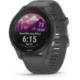 Smartwatch Garmin Forerunner 255 schist/black