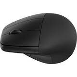 Mouse HP 920 Ergonomic Wireless