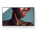 Monitor Sony FW-55BZ40L Smart 55 inch UHD IPS 8 ms 60 Hz HDR