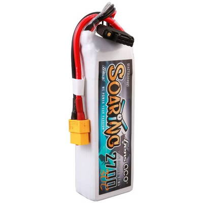 Gens ace Domyślna nazwa