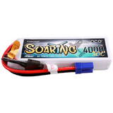 Gens ace Domyślna nazwa