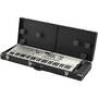Korg Wavestate SE Platinium Limited Edition - synthesizer