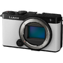 Panasonic Lumix S9 Body Smokey White