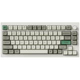 Q1 Max 75% Brown Switch Shell White