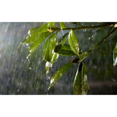 Philips Hue Outdoor 24V Cable Extension 5m