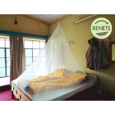 Brettschneider Plasa tantari Holiday Renets Pyramid