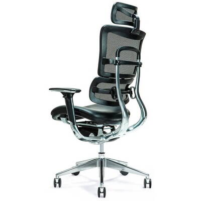 BEMONDI Ergonomic office chair ERGO 800 black