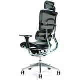 Ergonomic office chair ERGO 800 black