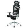 BEMONDI Ergonomic office chair ERGO 700 grey