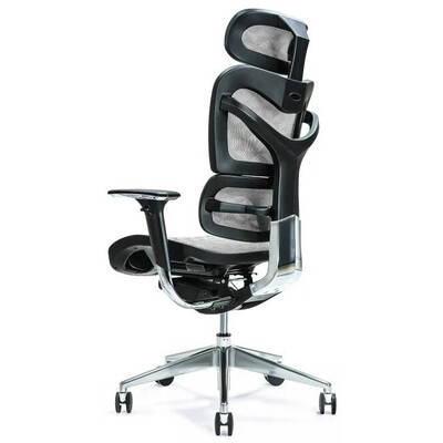 BEMONDI Ergonomic office chair ERGO 700 grey
