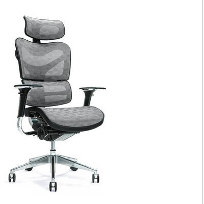 BEMONDI Ergonomic office chair ERGO 700 grey