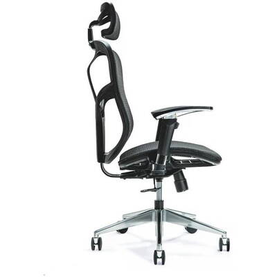 BEMONDI Ergonomic office chair ERGO 500 black