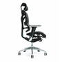 BEMONDI Ergonomic office chair ERGO 700 black