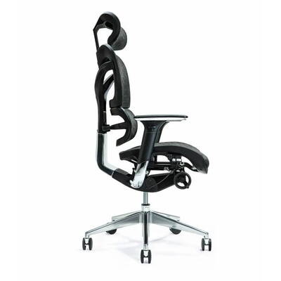 BEMONDI Ergonomic office chair ERGO 700 black