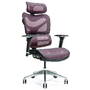 BEMONDI Ergonomic office chair ERGO 600 plum