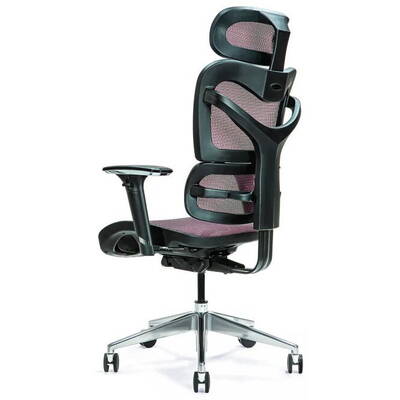 BEMONDI Ergonomic office chair ERGO 600 plum