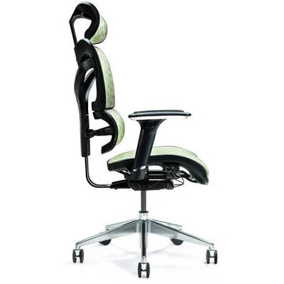 BEMONDI Ergonomic office chair ERGO 600 green