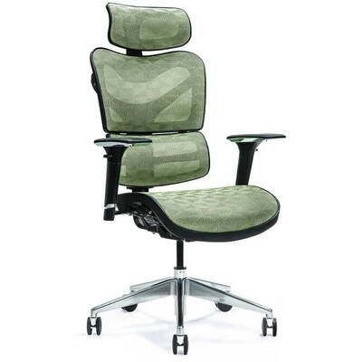 BEMONDI Ergonomic office chair ERGO 600 green