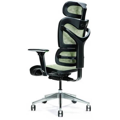 BEMONDI Ergonomic office chair ERGO 600 green