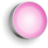 Philips Hue WCA Daylo Outdoor Wall Lantern, Inox