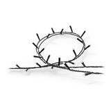 Philips Hue Festavia string lights 500 LED 40m