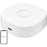 Smart Gateway  WS2GW-R WiFi