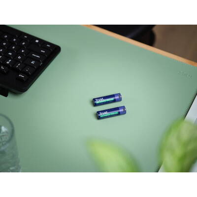 TRUST  25584 household battery Rechargeable battery AA