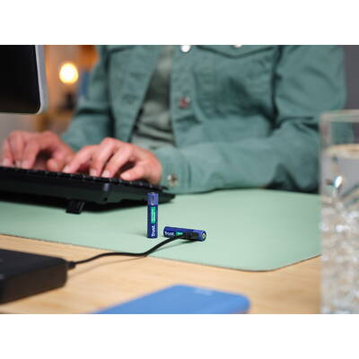 TRUST  25585 household battery Rechargeable battery AAA