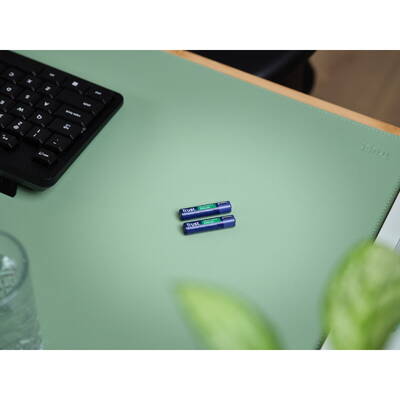 TRUST  25585 household battery Rechargeable battery AAA