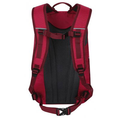 Rucsac Hannah City 25 litri, roz